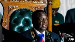 Zimbabwean President Emmerson Mnangagwa delivers his state of the nation address at a joint sitting of the parliament and the senate in Harare on December 20, 2017.