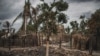 Tanzania kushirikiana na Msumbiji dhidi ya wanamgambo